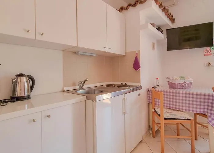 Alma Two Appartement Novigrad Istria